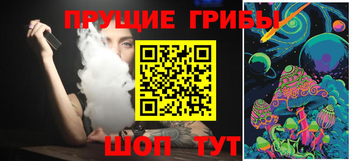Сунжа  Галлюциногенные грибы прущие грибы  Вход с VPN  Псилоцибиновые грибы мухоморы 