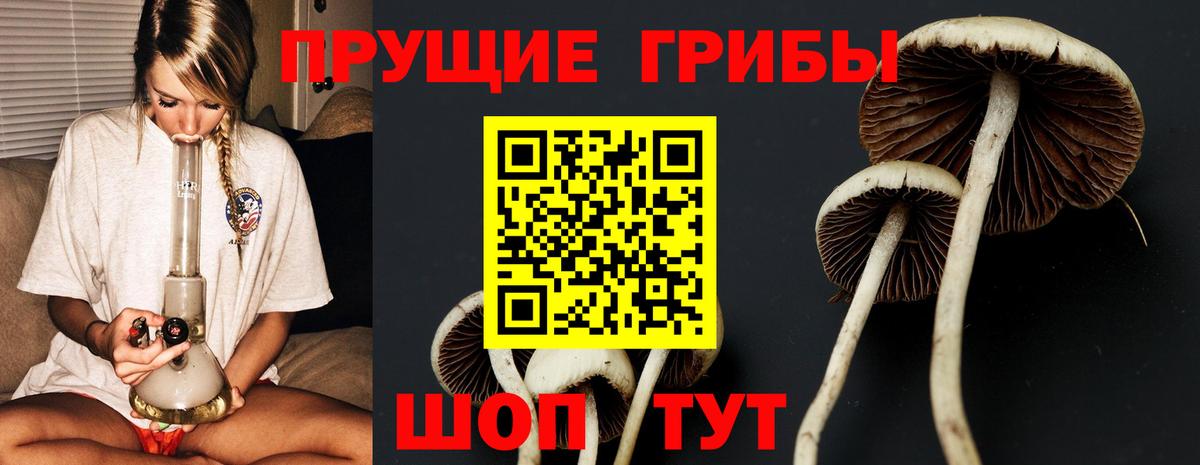 Псилоцибиновые грибы прущие грибы Сунжа